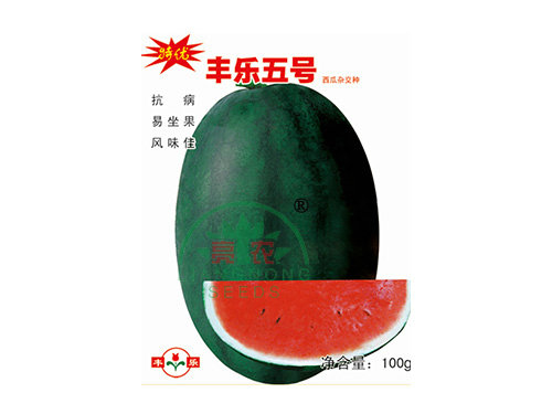 特優(yōu)豐樂5號 特優(yōu)豐樂5號