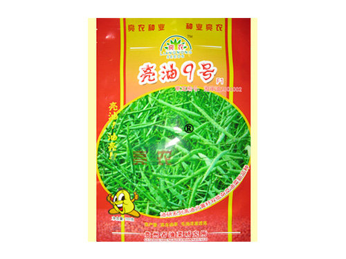 亮油9號(hào) 亮油9號(hào)