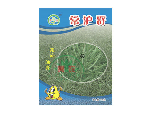 常滬籽 常滬籽