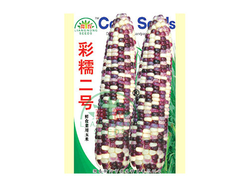 彩糯二號(hào) 彩糯二號(hào)