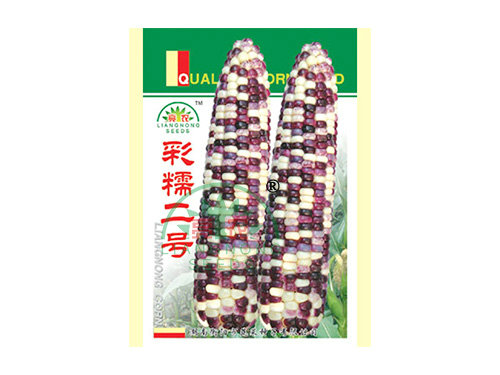 彩糯二號(hào) 彩糯二號(hào)